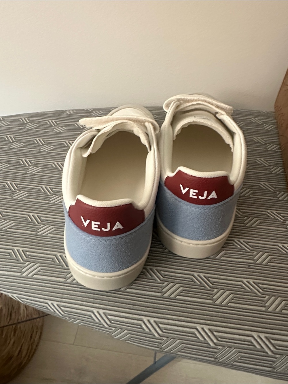 Veja Kids Sneakers in Light Blue and Burgundy Heel Tab